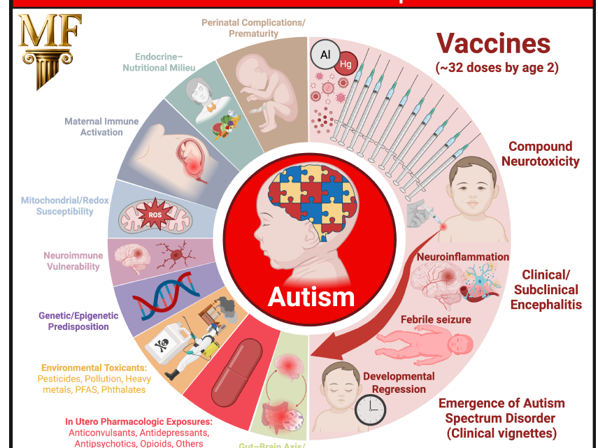 causas autismo mc cullough 500